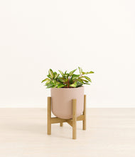 Load image into Gallery viewer, Sandy Pink stand:bamboo