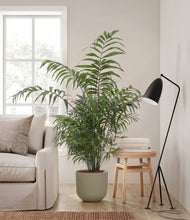 Load image into Gallery viewer, Sage Green