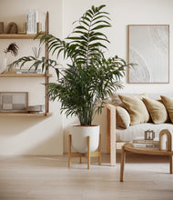 Load image into Gallery viewer, Natural Bamboo stand:light