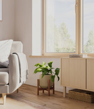 Load image into Gallery viewer, Olive stand:walnut