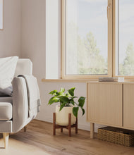 Load image into Gallery viewer, Almond Green stand:walnut