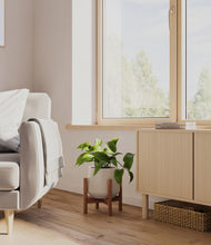 Load image into Gallery viewer, Eternal Gray stand:walnut