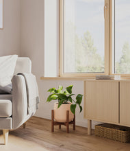 Load image into Gallery viewer, Gentle Pink stand:walnut