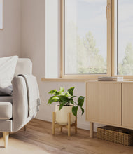 Load image into Gallery viewer, Almond Green stand:bamboo