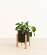 Load image into Gallery viewer, Black stand:bamboo