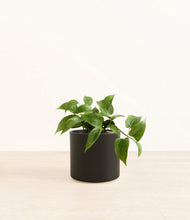 Load image into Gallery viewer, Black*****Profile