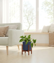 Load image into Gallery viewer, Deep Navy stand:walnut