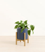 Load image into Gallery viewer, Deep Navy stand:bamboo