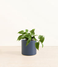 Load image into Gallery viewer, Deep Navy*****Profile