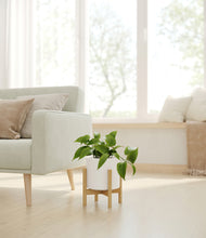 Load image into Gallery viewer, White stand:bamboo