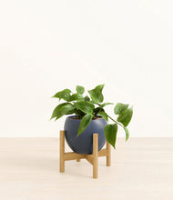 Load image into Gallery viewer, Deep Navy stand:bamboo