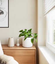 Load image into Gallery viewer, White