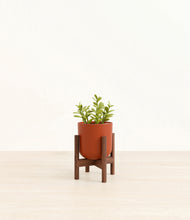 Load image into Gallery viewer, Earth Red stand:walnut