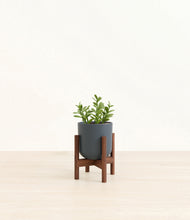 Load image into Gallery viewer, Iron Gray stand:walnut