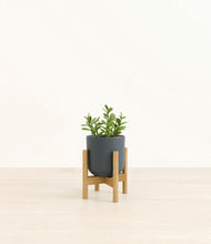 Load image into Gallery viewer, Iron Gray stand:bamboo
