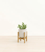 Load image into Gallery viewer, Natural Bamboo stand:bamboo
