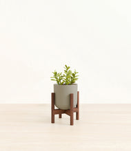 Load image into Gallery viewer, Sage Green stand:walnut