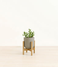 Load image into Gallery viewer, Sage Green stand:bamboo