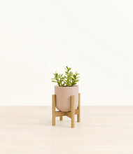 Load image into Gallery viewer, Stone Black stand:bamboo