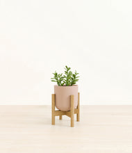 Load image into Gallery viewer, Sandy Pink stand:bamboo