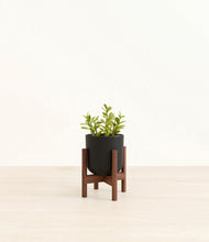 Load image into Gallery viewer, Stone Black stand:walnut