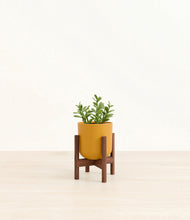 Load image into Gallery viewer, Sunset Orange stand:walnut