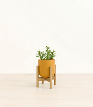 Load image into Gallery viewer, Sunset Orange stand:bamboo