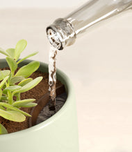 Load image into Gallery viewer, Turquoise stand:all