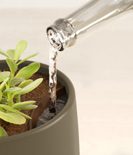 Load image into Gallery viewer, Olive stand:all