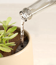 Load image into Gallery viewer, Almond Green stand:all