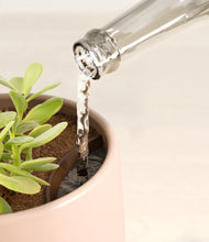 Load image into Gallery viewer, Gentle Pink stand:all