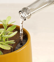 Load image into Gallery viewer, Mustard stand:all