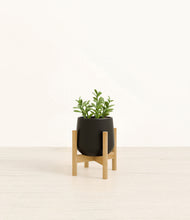 Load image into Gallery viewer, Black stand:bamboo