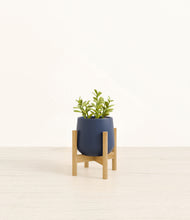 Load image into Gallery viewer, Deep Navy stand:bamboo