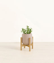 Load image into Gallery viewer, Eternal Gray stand:bamboo