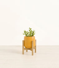 Load image into Gallery viewer, Mustard stand:bamboo