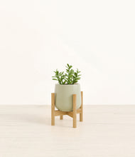 Load image into Gallery viewer, Turquoise stand:bamboo