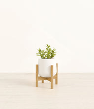 Load image into Gallery viewer, White stand:bamboo