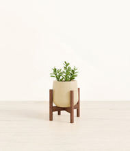 Load image into Gallery viewer, Almond Green stand:walnut