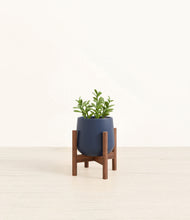 Load image into Gallery viewer, Deep Navy stand:walnut