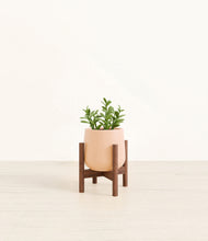 Load image into Gallery viewer, Gentle Pink stand:walnut