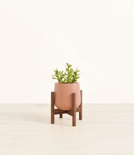 Load image into Gallery viewer, Calm Rose stand:walnut