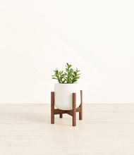 Load image into Gallery viewer, White stand:walnut
