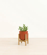 Load image into Gallery viewer, Glossy Red stand:bamboo