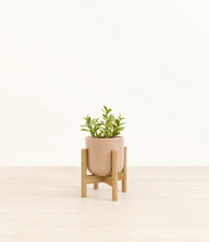 Load image into Gallery viewer, Glossy Pink stand:bamboo