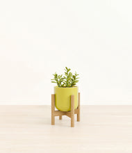 Load image into Gallery viewer, Key Lime Yellow stand:bamboo
