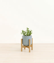 Load image into Gallery viewer, Misty Blue stand:bamboo
