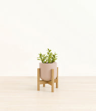 Load image into Gallery viewer, Sandy Pink stand:bamboo