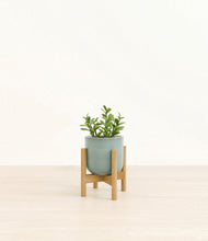 Load image into Gallery viewer, Reactive Aqua stand:bamboo