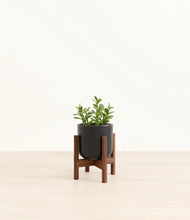 Load image into Gallery viewer, Stone Black stand:walnut